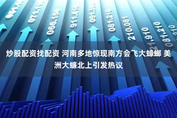 炒股配资找配资 河南多地惊现南方会飞大蟑螂 美洲大蠊北上引发热议