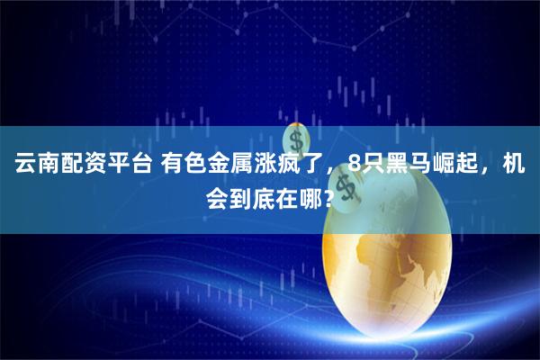 云南配资平台 有色金属涨疯了，8只黑马崛起，机会到底在哪？
